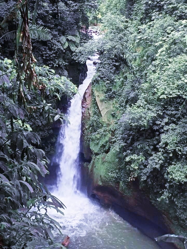 WhatsApp Image 2023-04-14 at 22.36.21