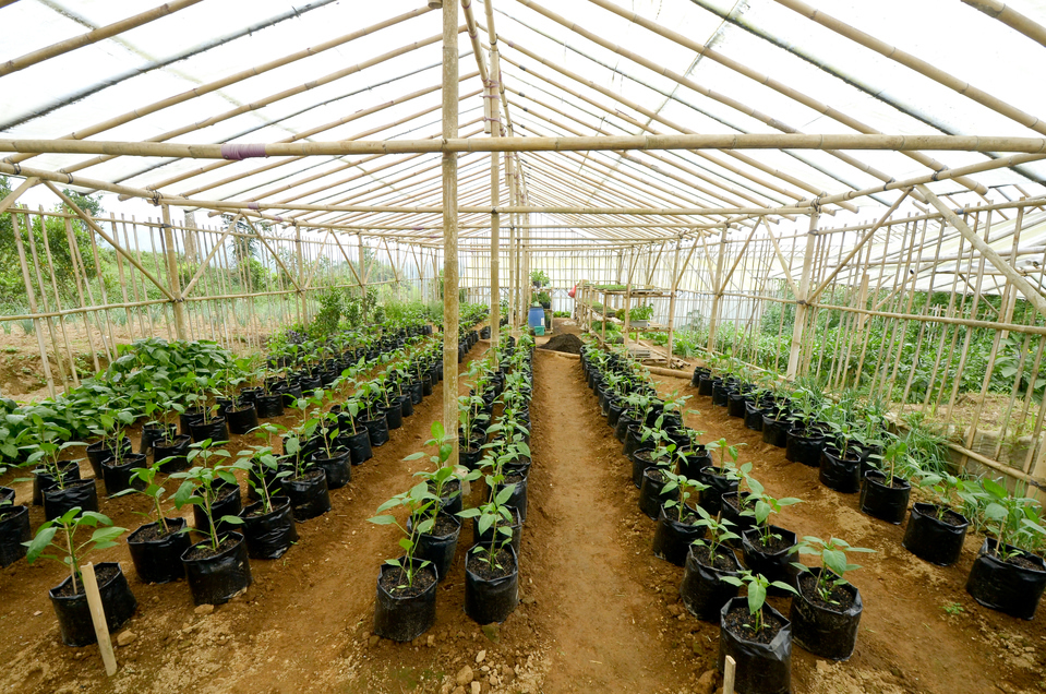 bagusagropelaga(JPG)