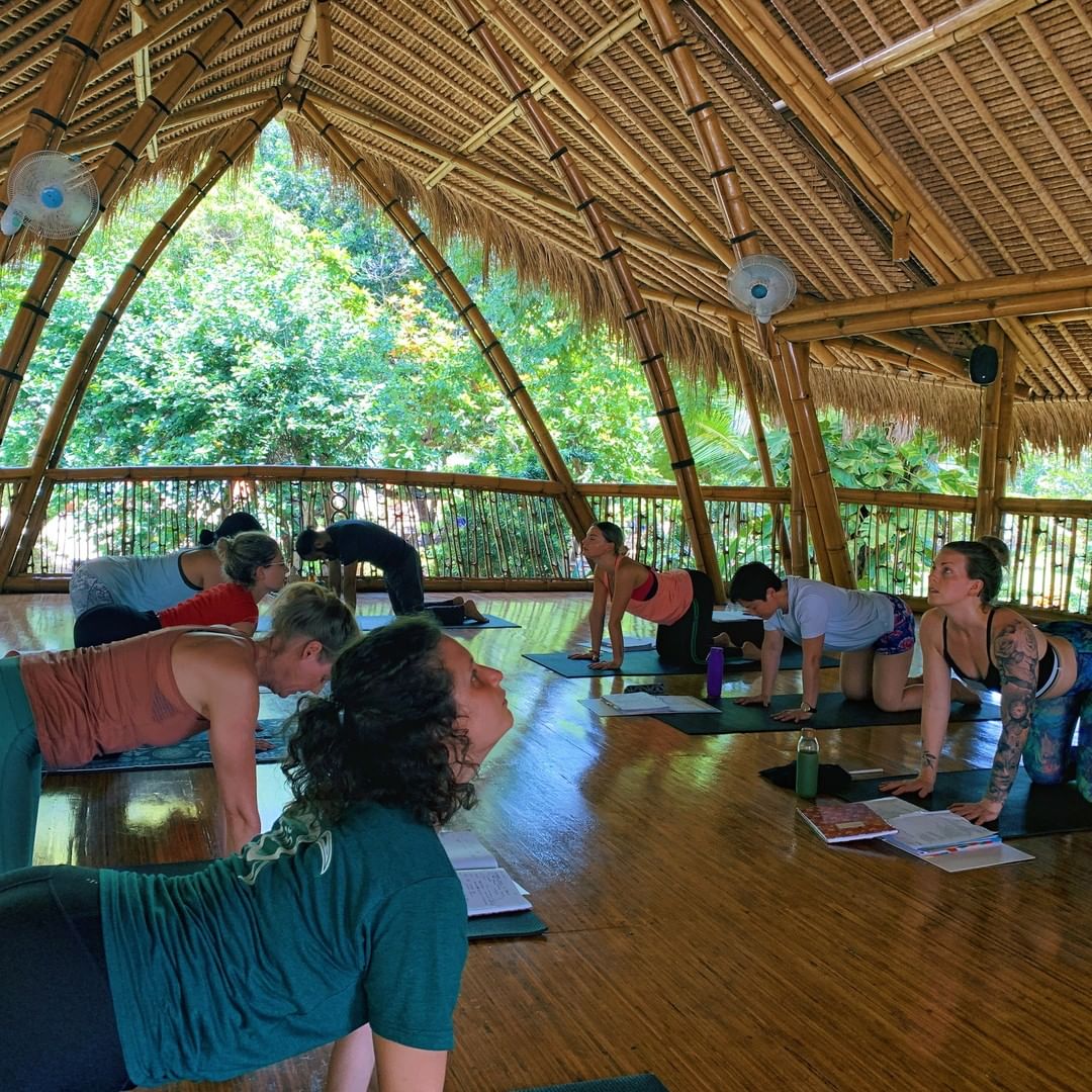 powerofnowoasis(JPG)