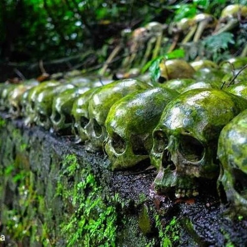 6 Facts and Prohibitions when Visiting Truyan Village