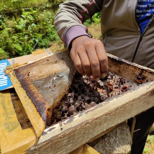 Village Escape 2D1N : Experience Pejeng Kangin's Culture and Nature