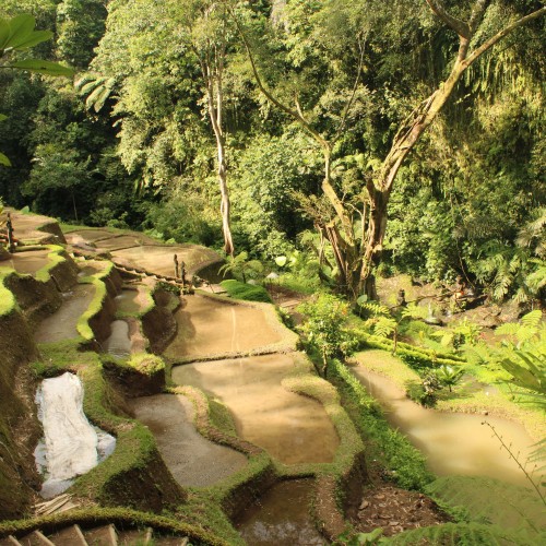 Exploring The Center of The Universe by Trekking
